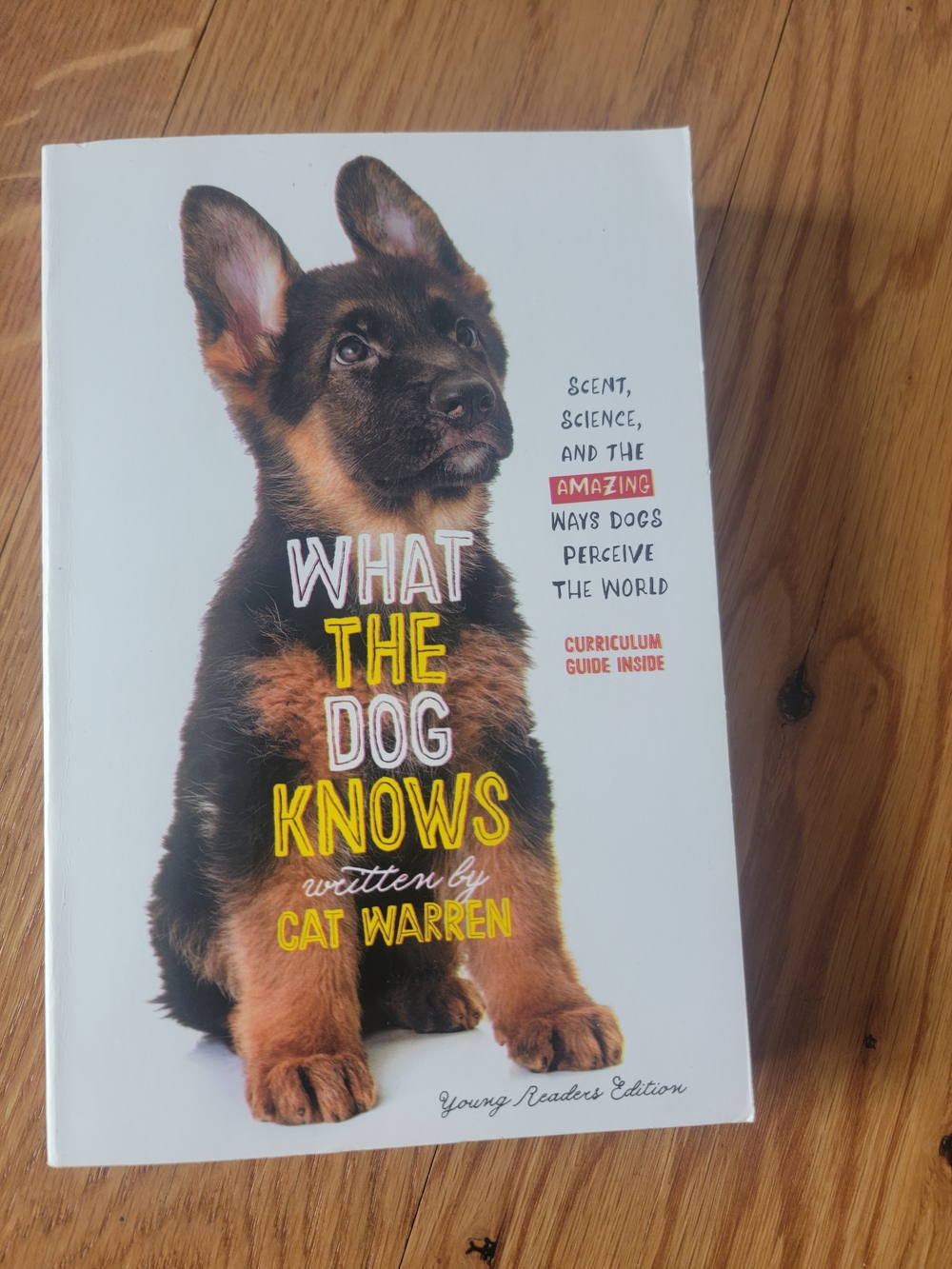 What the Dog Knows by Cat Warren